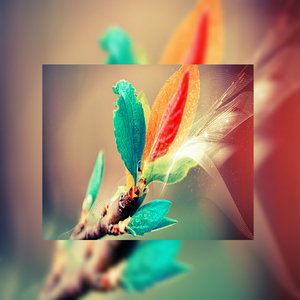 美女被怪物强行侵犯3d
