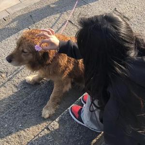 美女被怪物强行侵犯3d
