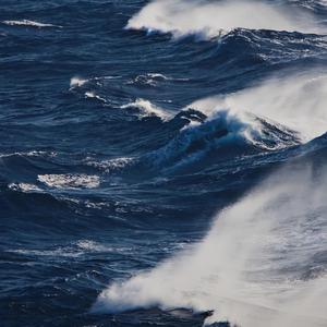 美女被怪物强行侵犯3d
